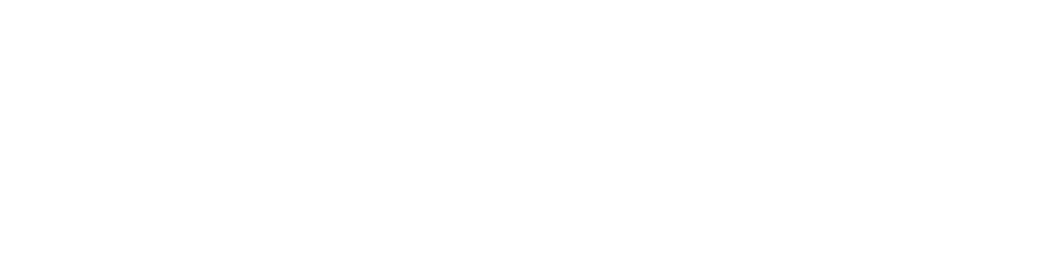 ShamCrm Logo